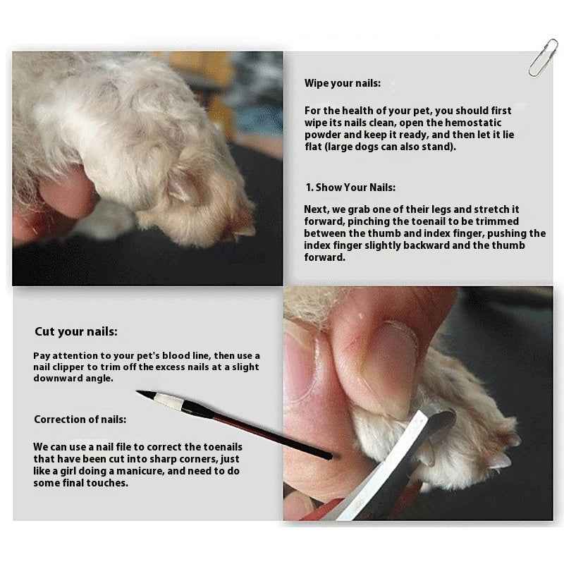 Shearing Tool Pet Shaver Accessories for Efficient Grooming