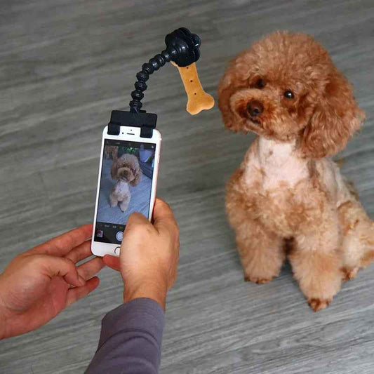 Pet Photography Tool - Cat Dog Viewing Lens Teddy Camera Toy Mobile Phone Selfie Clip Supplies